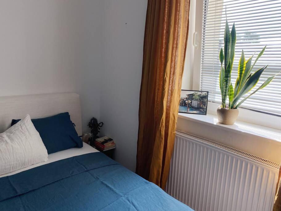 Cosy Apartment Tivoli Center Free Park Laibach Exterior foto
